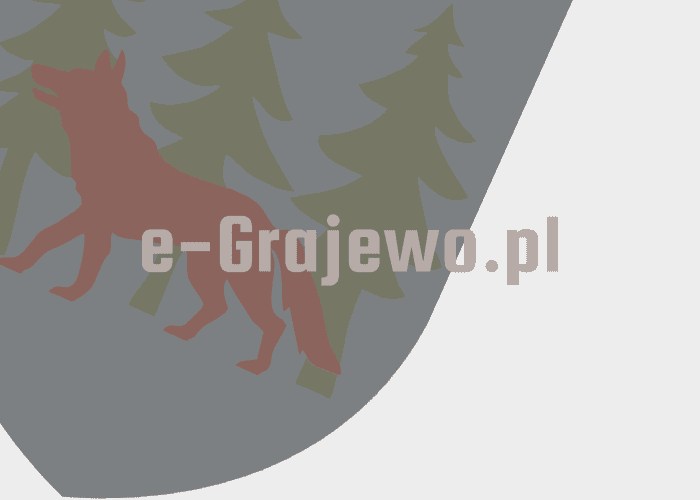 Grajewo ogłoszenia: sprzedam  telefon komórkowy  max com  kolor czarny, w bardzo...